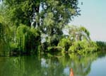 Mincio Park (Mantova)